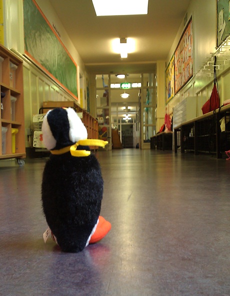 Mr Puffin