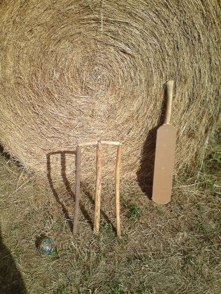 A bale for scale