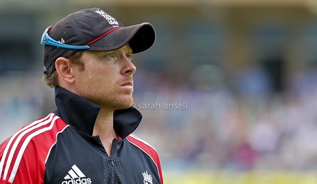 Ian Bell can probably get quite a lot out of the experience of buying a shed these days