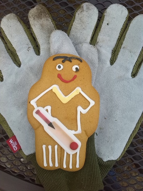 A gingerbread cricketer who looks a bit like Samit Patel?