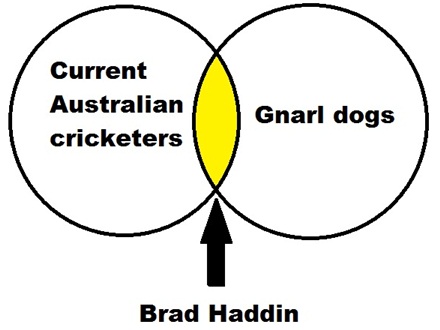 It's Brad Haddin's 'thing' - everyone's got a 'thing'